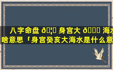 八字命盘 🦟 身宫大 🐛 海水啥意思「身宫癸亥大海水是什么意思」